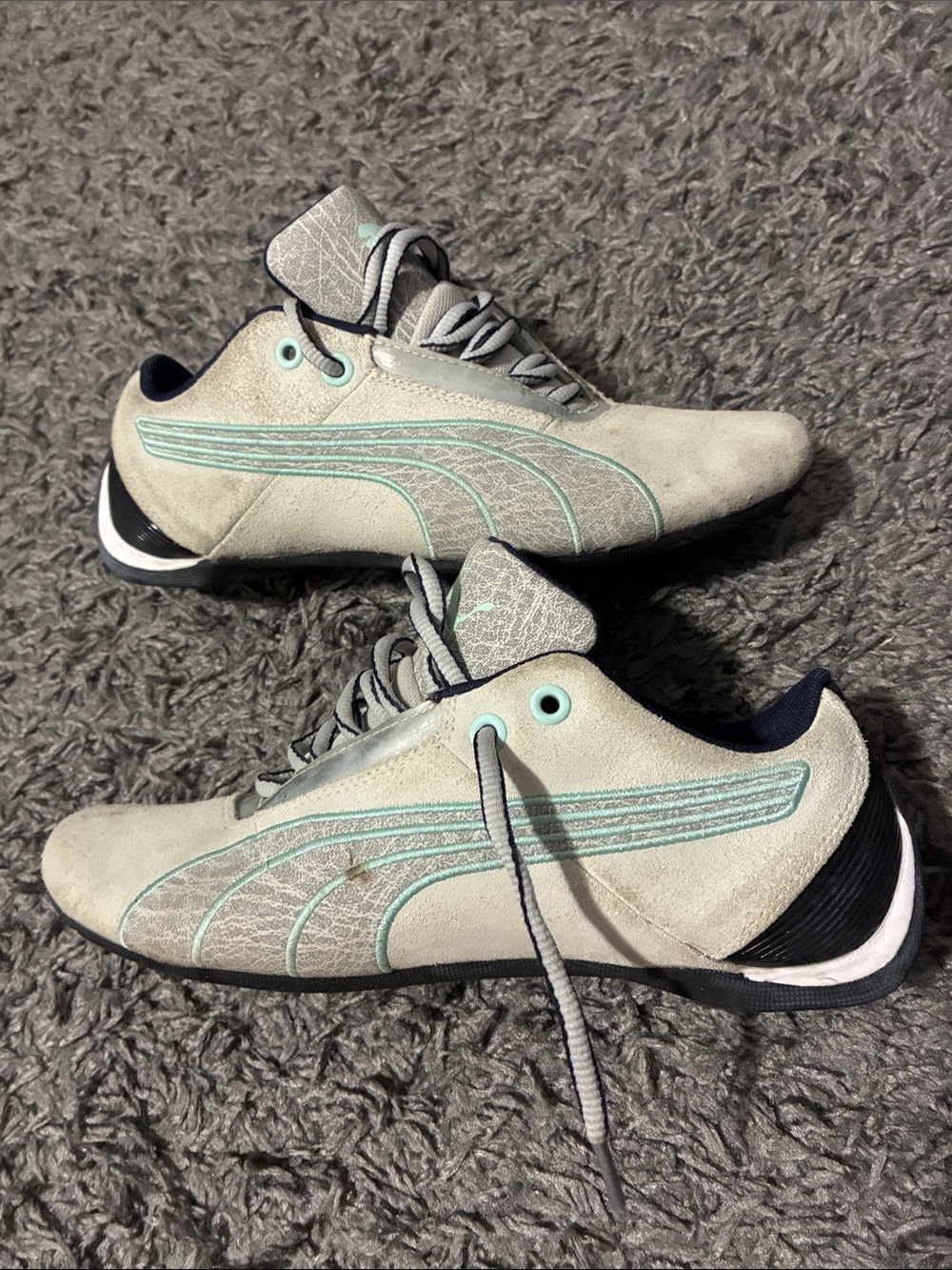 Puma future cat